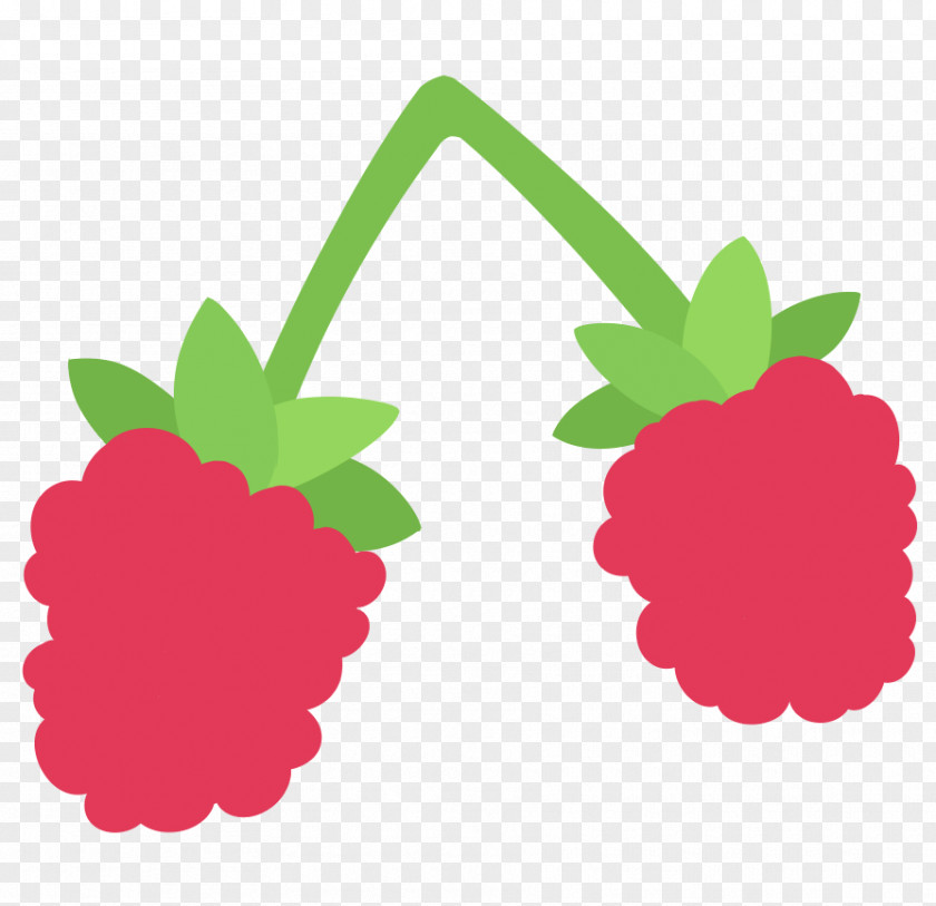 Raspberry Blossom Mark 5 Fruit Drawing PNG