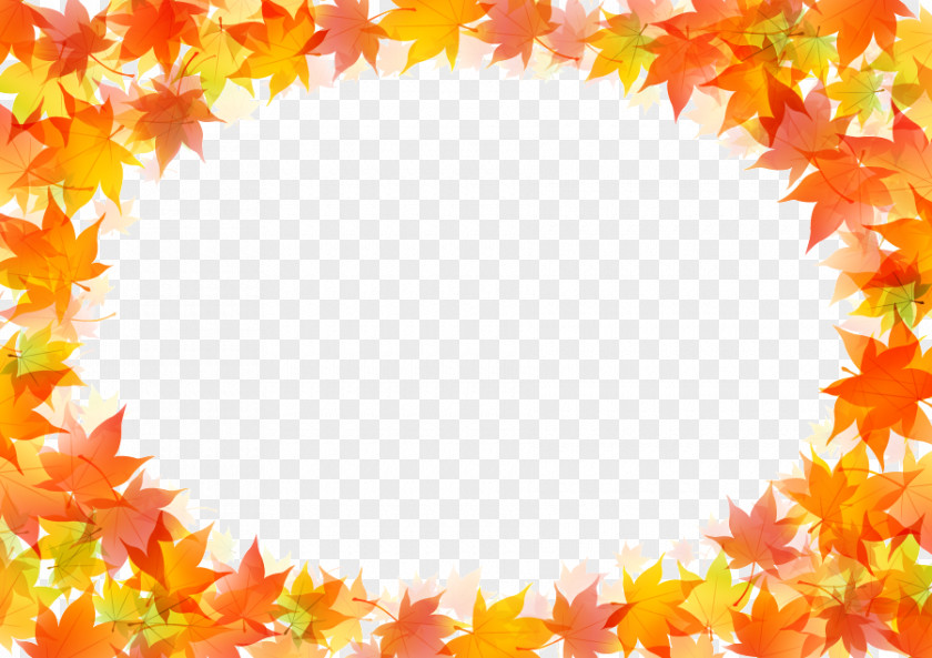 Autumn Leaves Border Leaf Color Drawing PNG