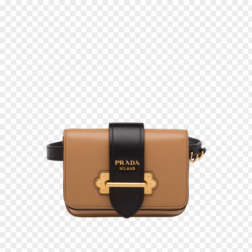Bag Bum Bags Handbag It Fashion PNG