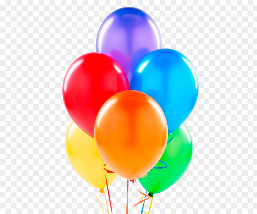 Balloon Floristry Birthday Party Latex PNG