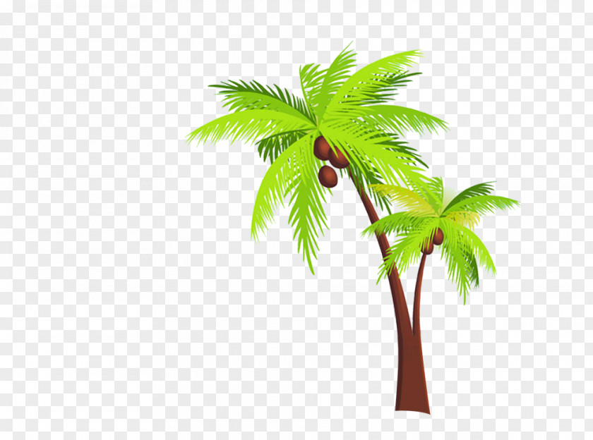 Coconut Tree Kerala Arecaceae Travel Icon PNG