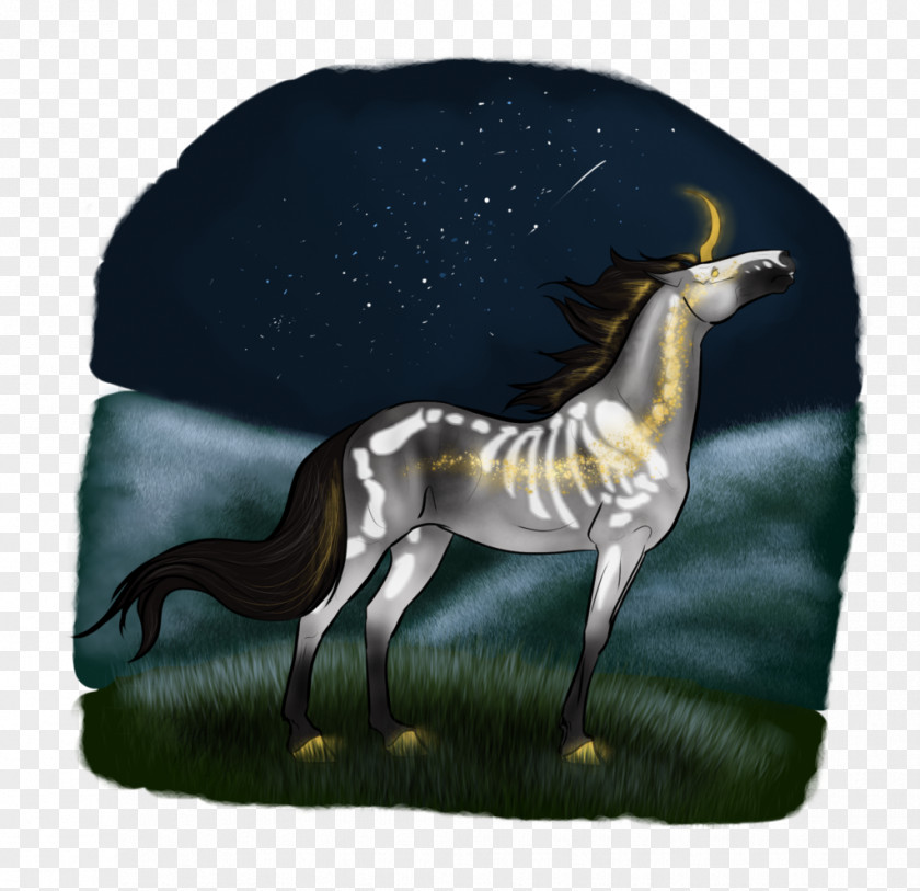 Crecent Moon Mustang Freikörperkultur Legendary Creature Sadio Mané Horse PNG