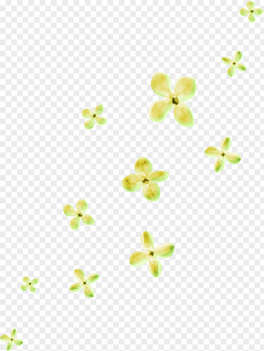 Floating Green Flowers Flower PNG