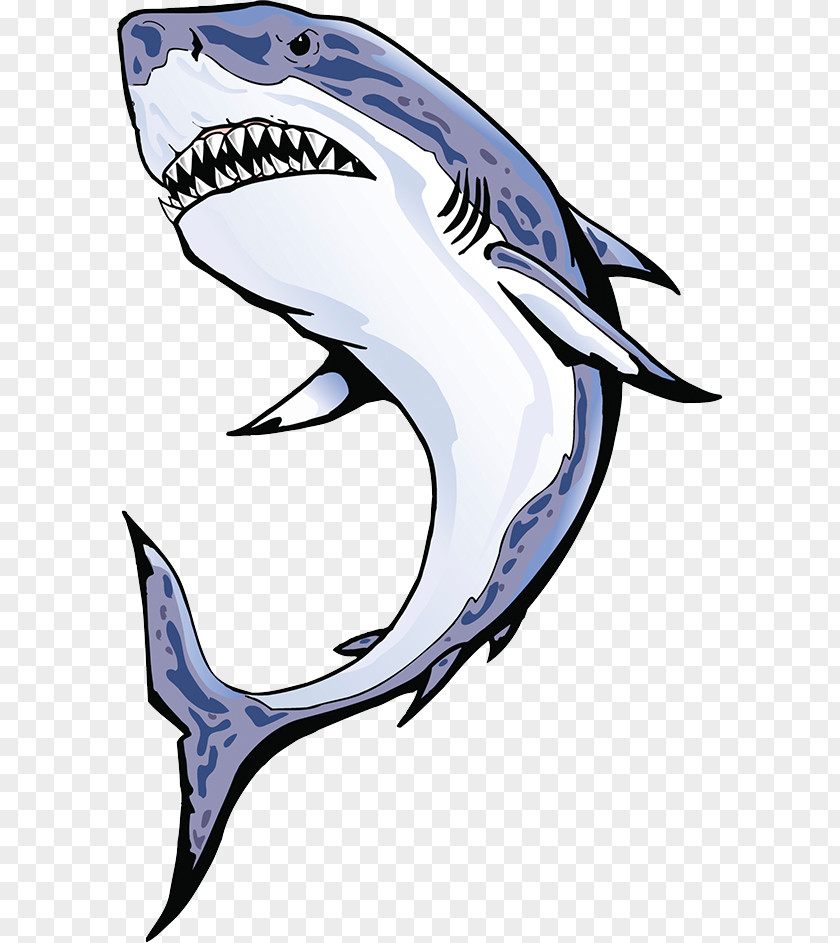 Hunter Shark Fin Soup Requiem Clip Art PNG