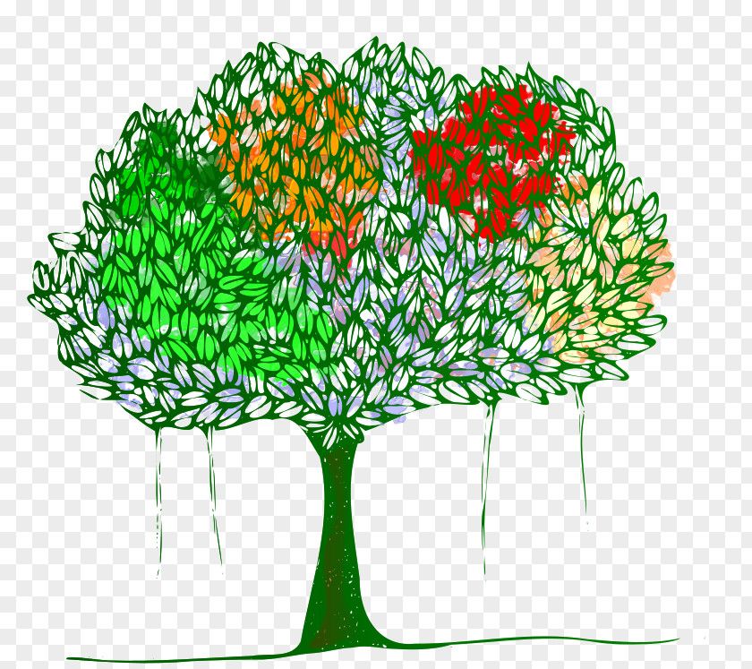Tree Branch Banyan Clip Art PNG