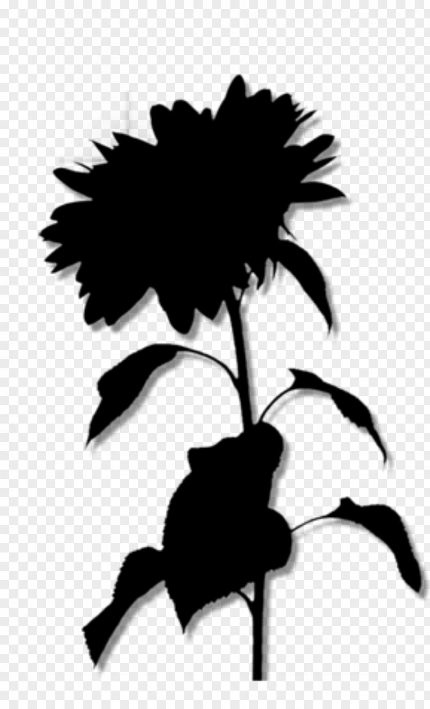 Clip Art Image Flower Drawing PNG