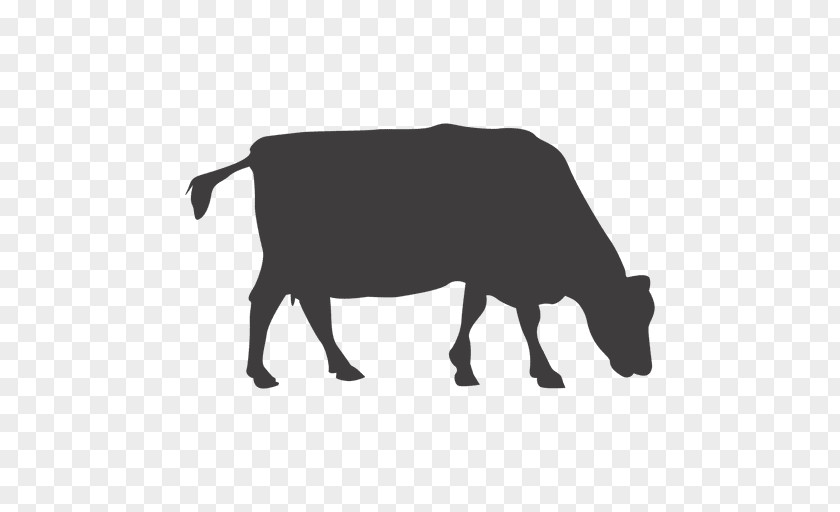 Cow Man Dairy Cattle Hereford Ox Livestock Bull PNG