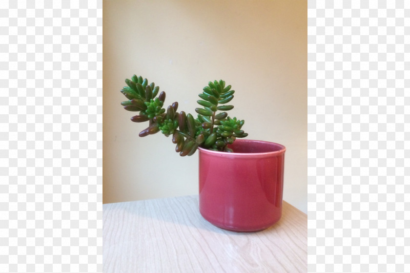 Design Houseplant Flowerpot Ceramic Citroën Cactus M PNG