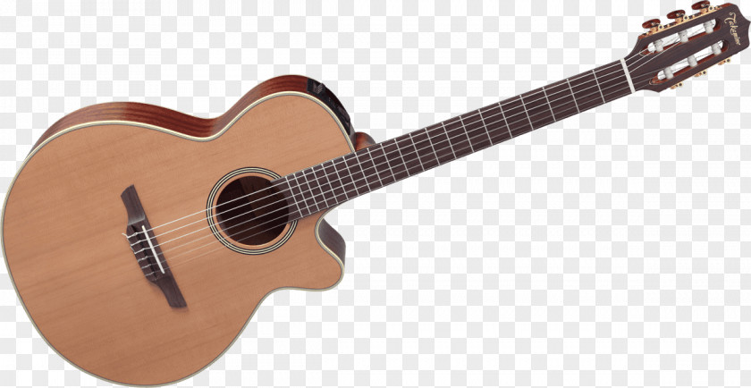 Guitar Steel-string Acoustic Lag Cutaway PNG