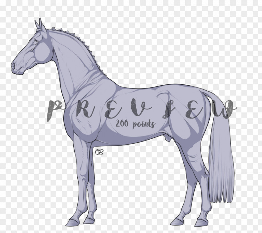 Mustang Mule Pony Mare Art Stallion PNG