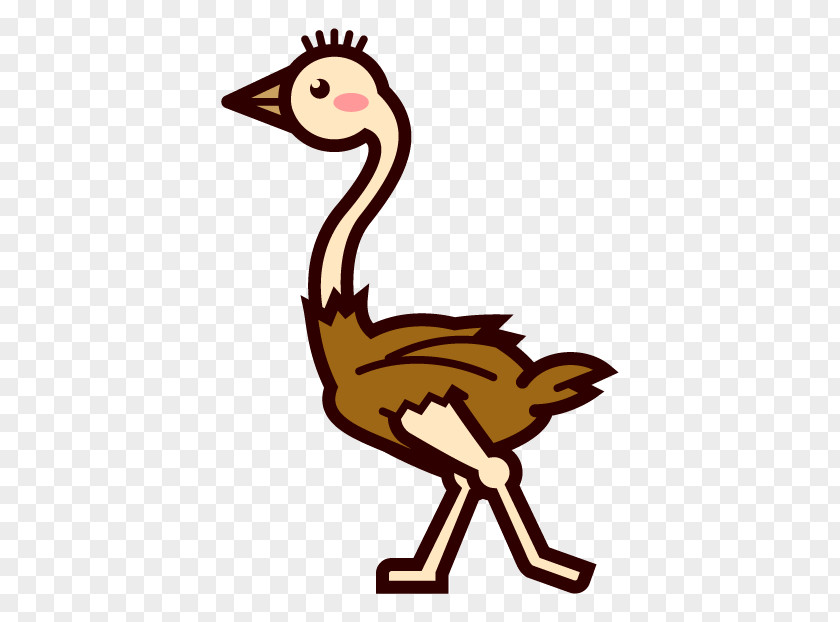 Animal Zoo Common Ostrich Flightless Bird Clip Art PNG