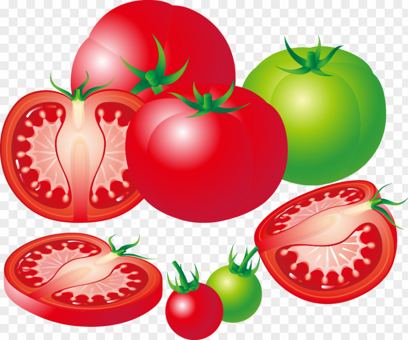 Exquisite Vegetables Tomatoes South Korea Auglis Tomato PNG