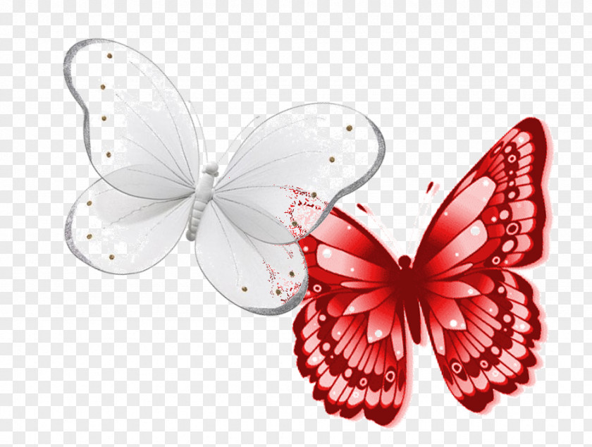 I-D Butterfly Drawing Clip Art PNG