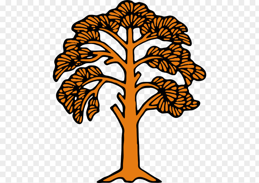 Image Of A Tree Clip Art PNG