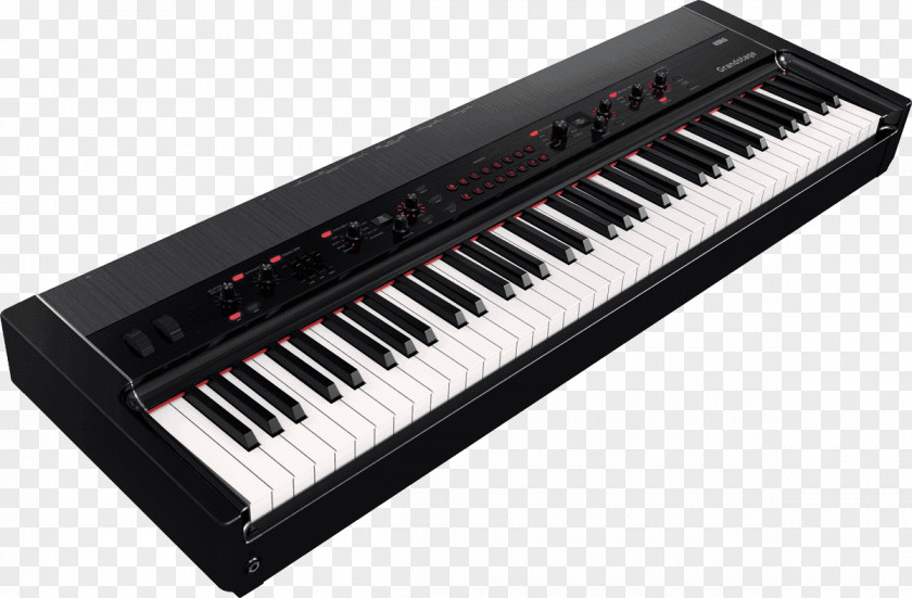 Keyboard Korg Stage Piano Digital PNG
