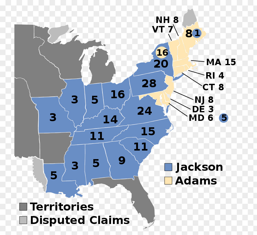 United States Types Of Abortion Restrictions In The U.S. State Law PNG