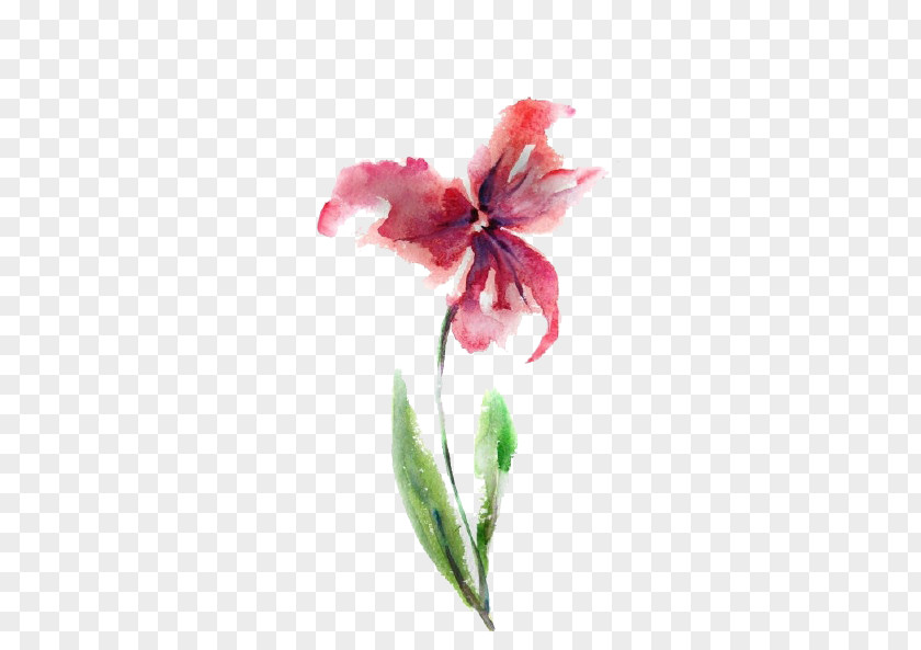 Free Watercolor Hand-painted Flowers Pull Material Watercolour Watercolor: Painting Drawing PNG