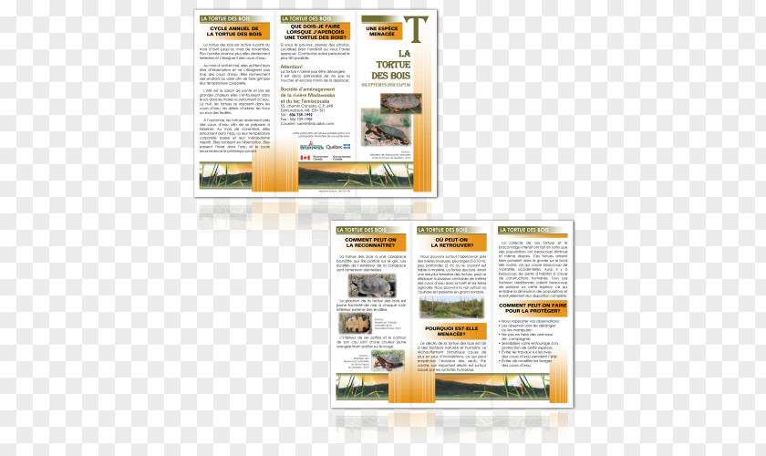 Imprimerie Brand Brochure PNG