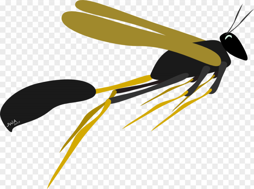 Insect Propeller Clip Art PNG