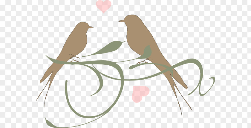 Love Birds Lovebird Parrot Clip Art PNG