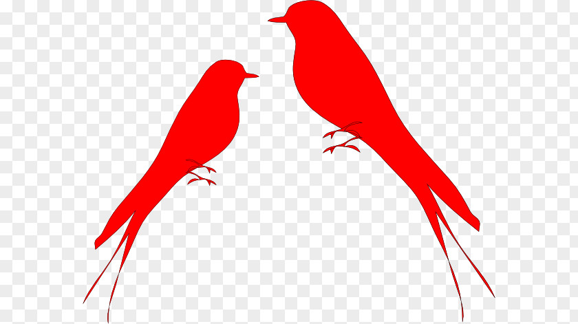 Loving Birds Clip Art Lovebird Swallow Parrot PNG
