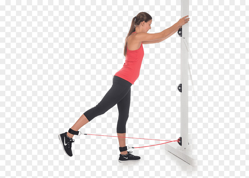 Physical Fitness Exercise Bands Strength Training Centre PNG