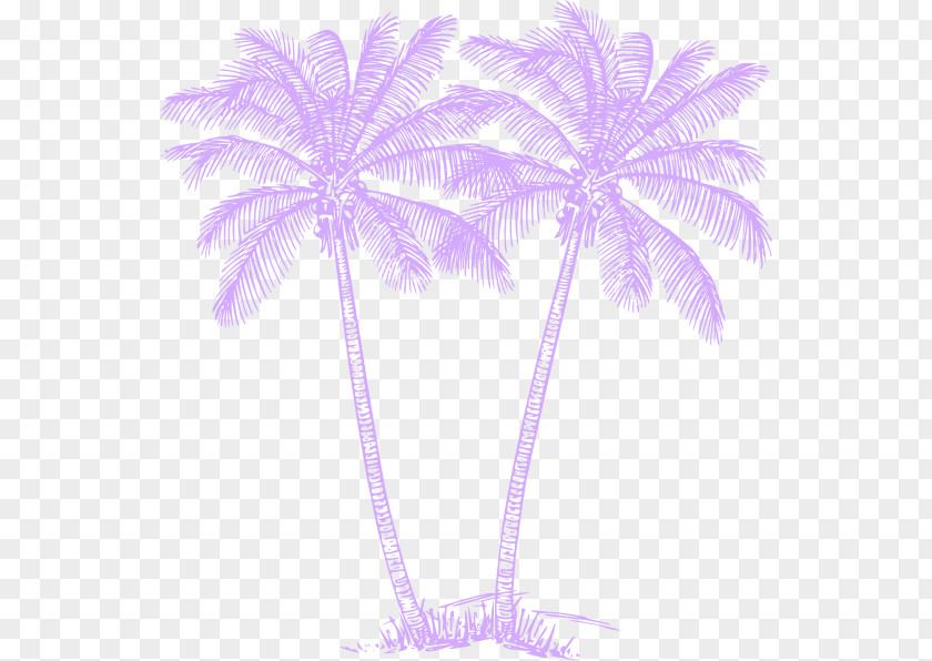 Tree Timeline Arecaceae Sabal Palm Art Clip PNG