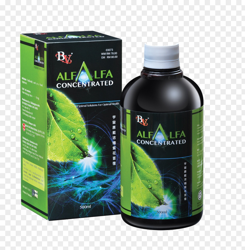 Alfalfa Coffee Drink Dietary Supplement Lemak Makanan PNG