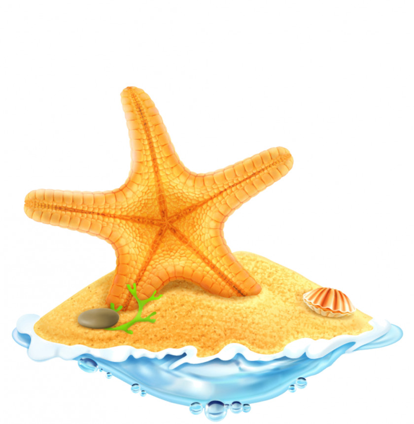 Cartoon Starfish Clip Art Vector Graphics Illustration Royalty-free Image PNG