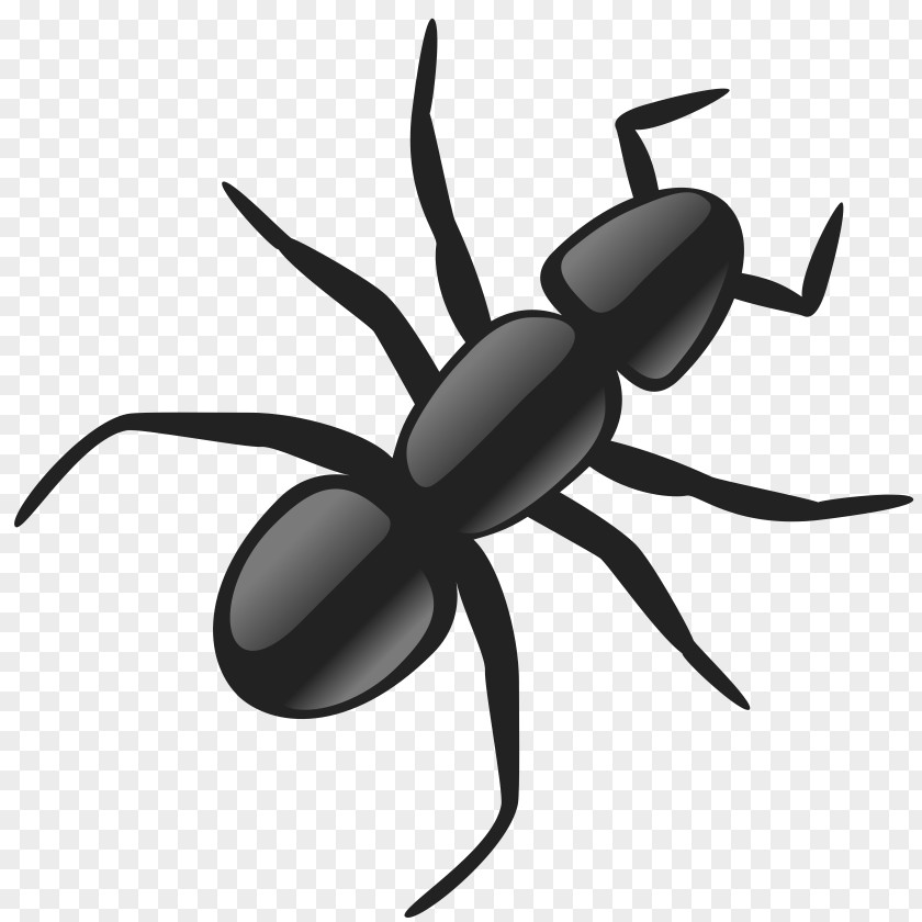 Dead Insects Cliparts Ant Clip Art PNG