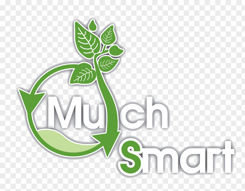 Leaf Logo Brand Flowering Plant Font PNG