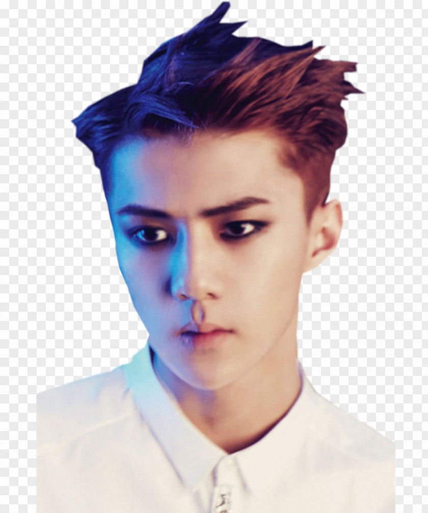 Sehun EXO-K Overdose K-pop PNG