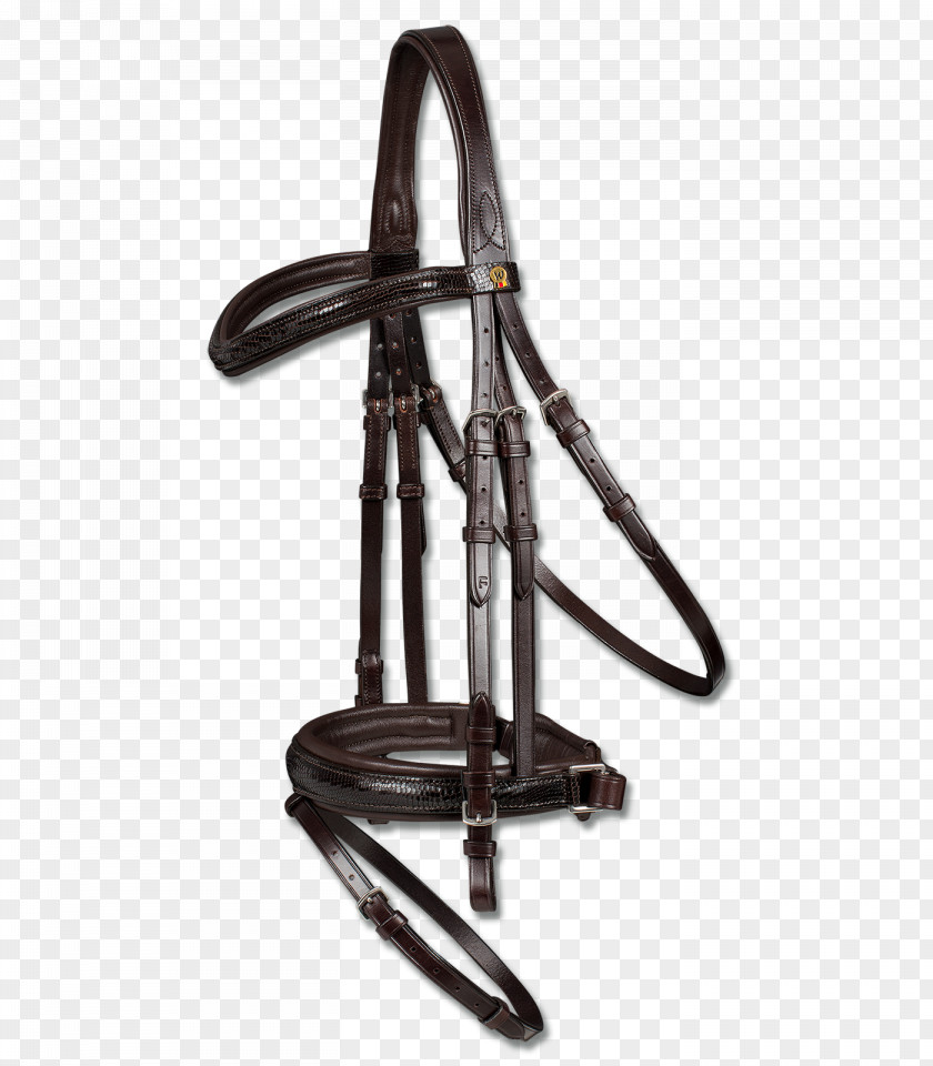 Bridle Cob Pony Bit Equestrian PNG