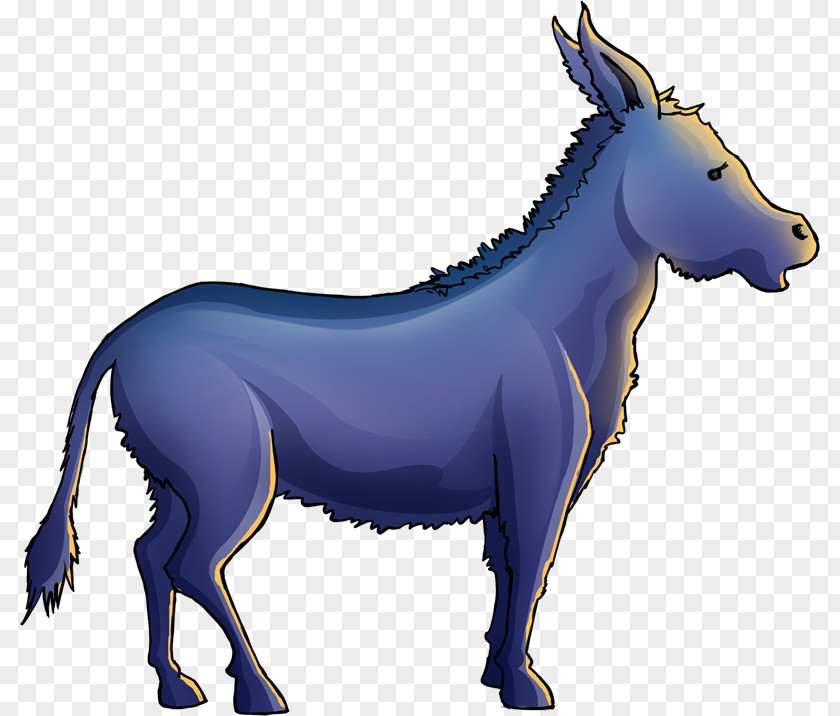 Burro Mule Donkey Stallion Foal Clip Art PNG