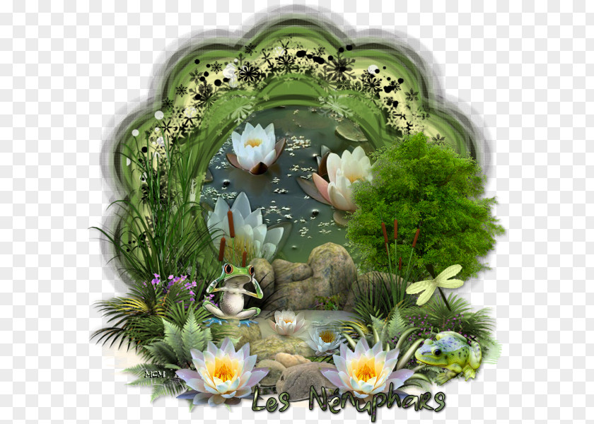 Computer Laptop Sticker Flowering Plant Water Lilies PNG