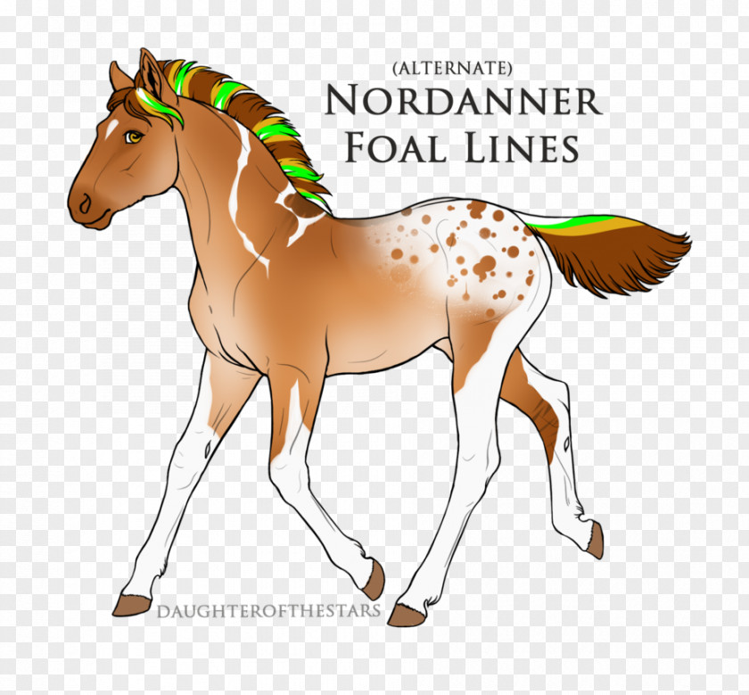 Mustang Mane Foal Stallion Mare PNG