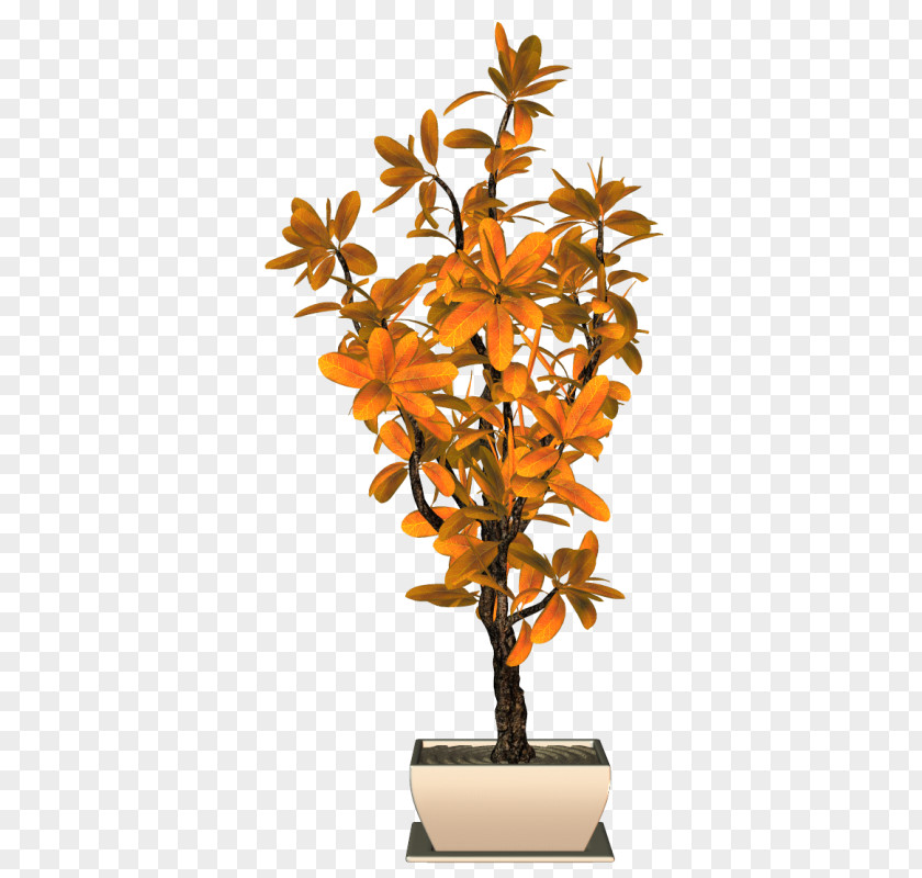 Arbuste Sign Flowerpot Houseplant Orange S.A. PNG