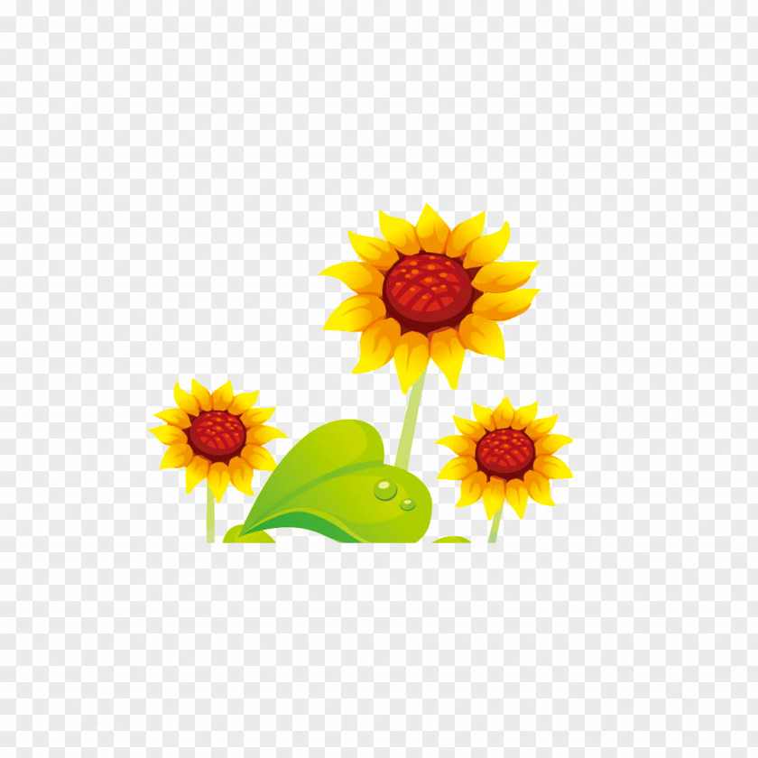 Cute Cartoon Sunflower Flowers Common PNG