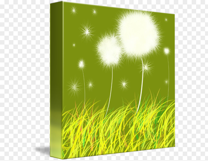Energy Desktop Wallpaper Grasses Computer Flower PNG
