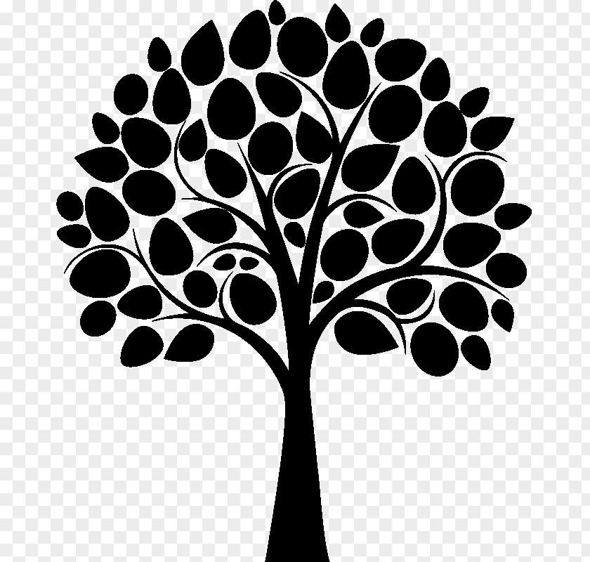 Family Branch Tree PNG