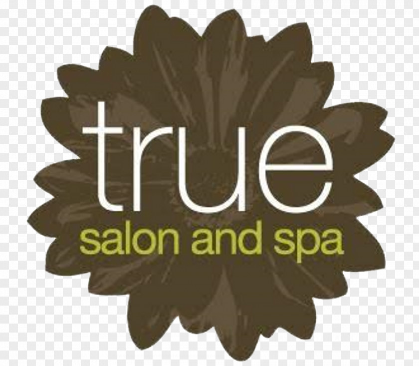 Ludawn Spa Salon Scrapbooking Blog Flower Logo PNG