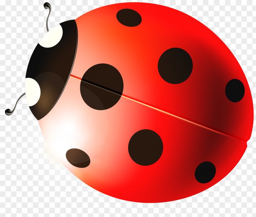 Red Cute Ladybug Ladybird Beetle PNG