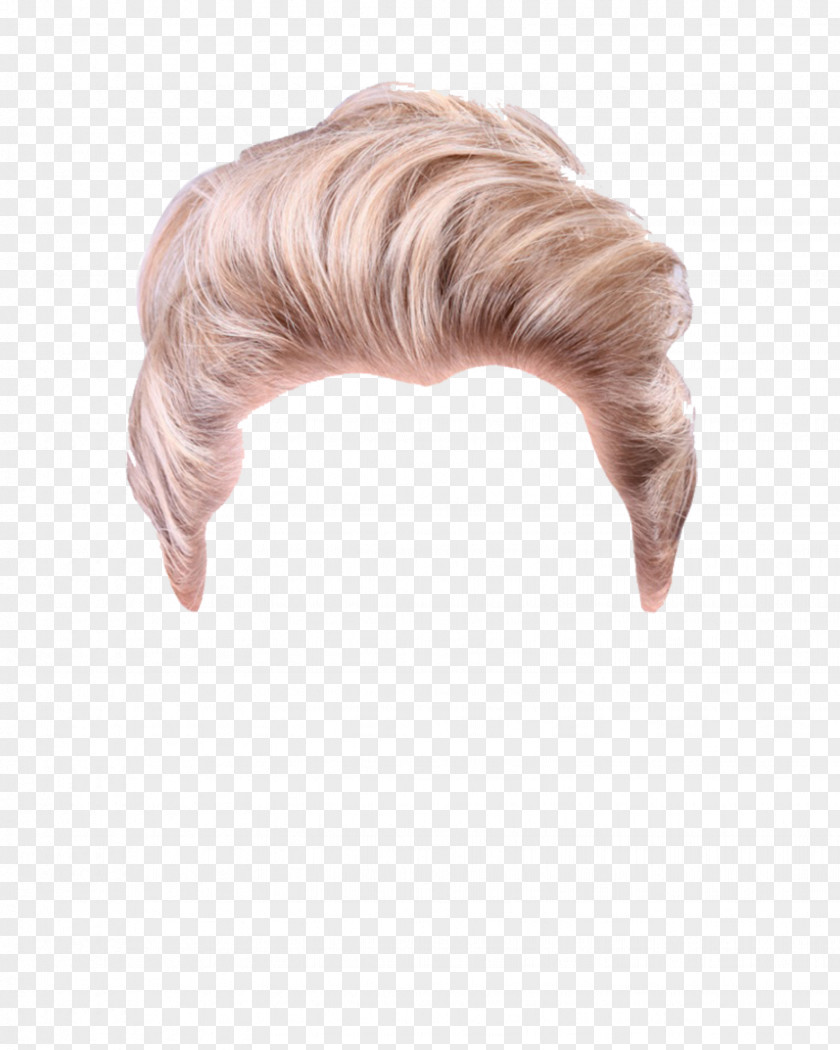 Wig Capelli Hairstyle PNG