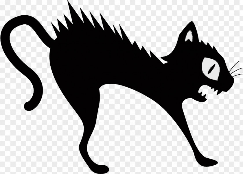 Blackandwhite Line Art Black Cat Tail Head Cartoon PNG