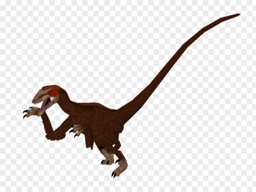Dwarf Runner Velociraptor Terrestrial Animal Tyrannosaurus PNG