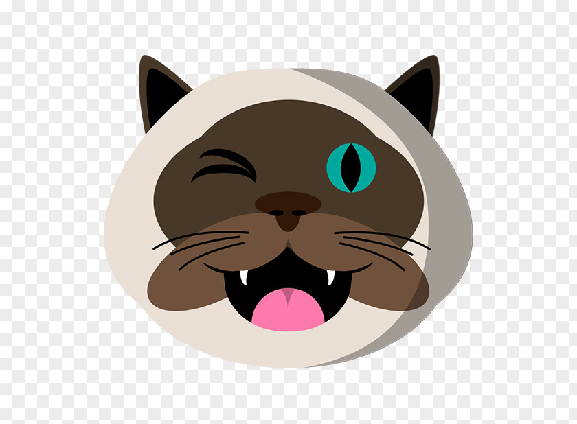Kitten Whiskers Snout Cartoon PNG