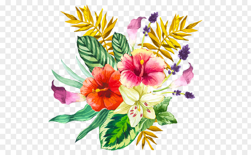 Minnesota Hardy Tropical Plants Vector Graphics Floral Design Flower Clip Art Image PNG