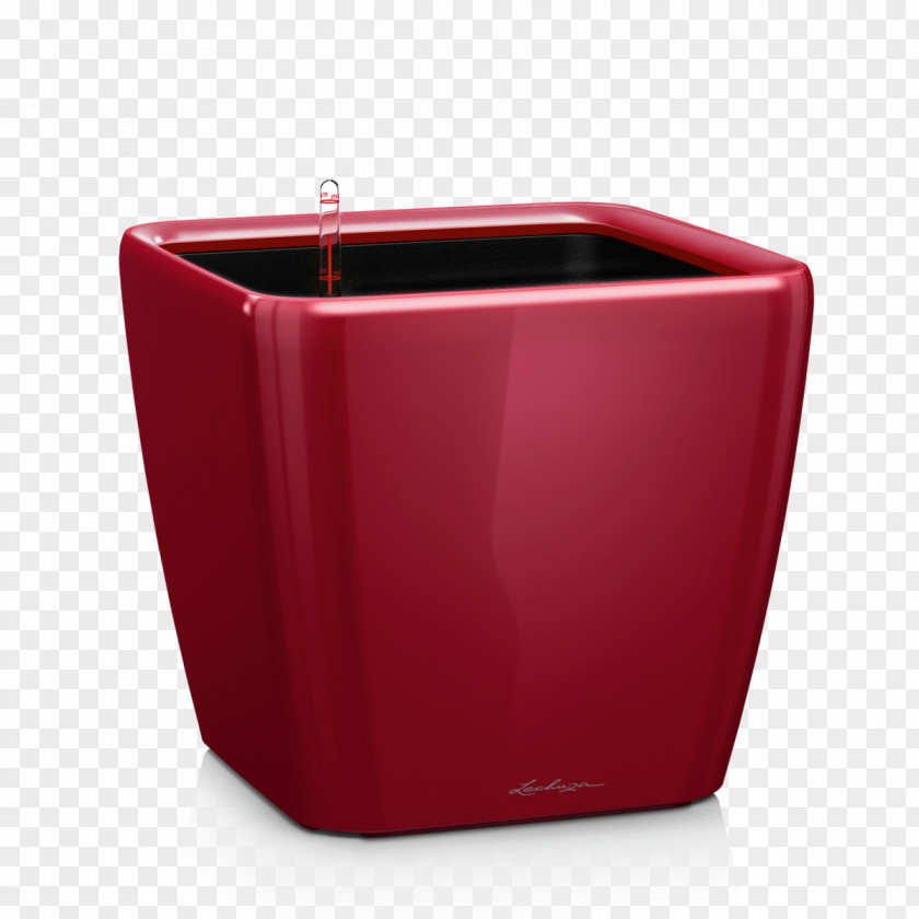 Plant Flowerpot Red Color White PNG