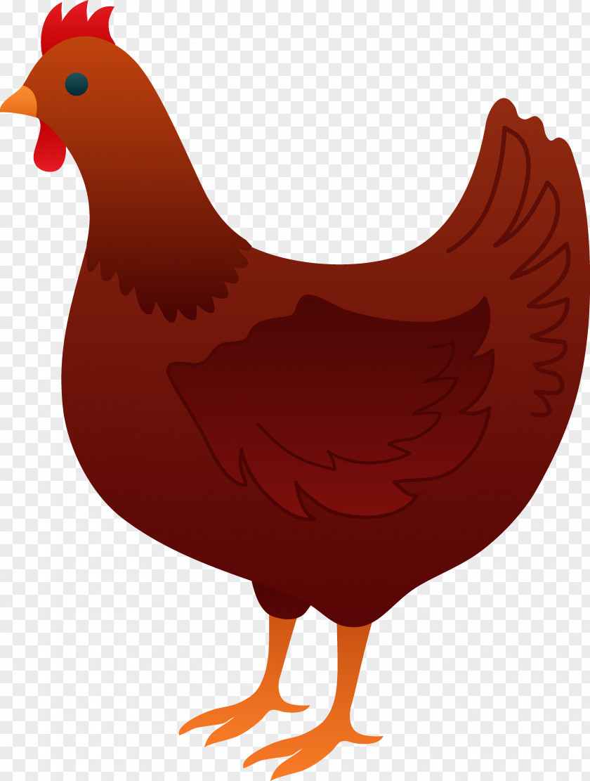 Qa Cliparts The Little Red Hen Chicken Farm Book Clip Art PNG