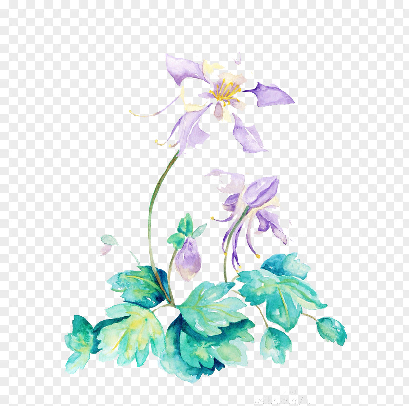 Watercolor Flowers Floral Design Painting Illustration PNG